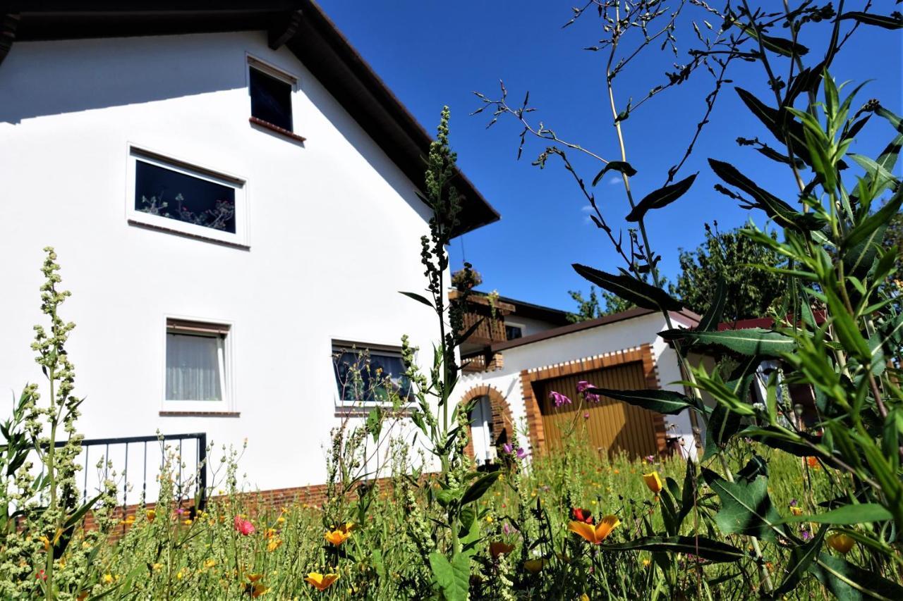 Ferienwohnung-M8 Im Schoenen Werratal Jestadt Exterior foto